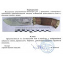 Нож охотничий Вепрь (с рисунком)
