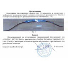Олимпийский лук Jandao 66/32 Blue