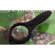 Лупа - 60 0559 (d-60mm) с LED подсветкой