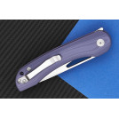 Ніж складаний CH 3015-G10-purpule