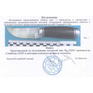 Ніж мисливський 251